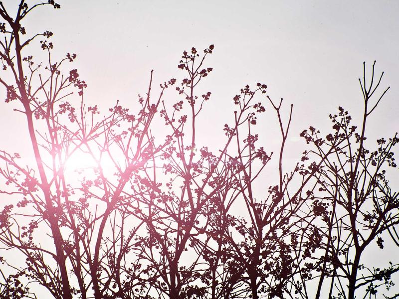 feedback screenshot 5